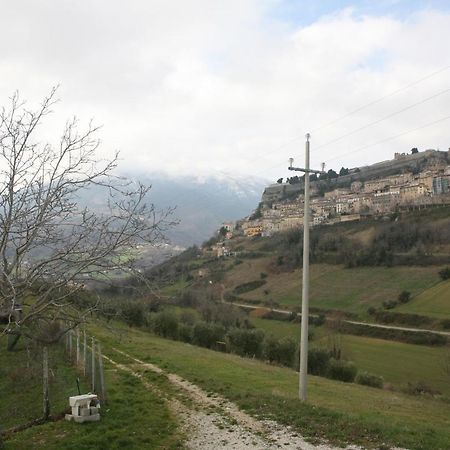 B&B La Collina Degli Ulivi Civitella Del Tronto Luaran gambar